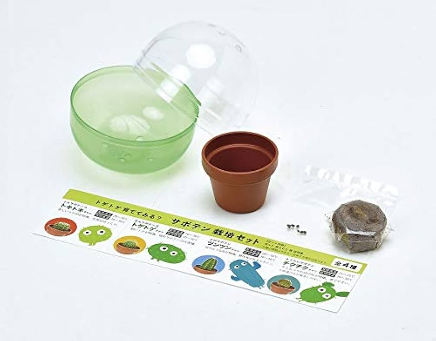 サボテン　3つセット 3個セット サボバケツ栽培キット サボテン 栽培セット GD-1034